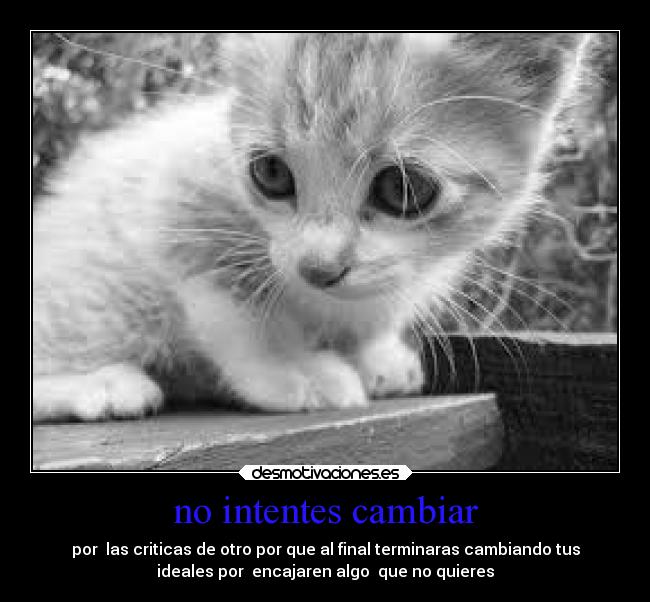 no intentes cambiar -