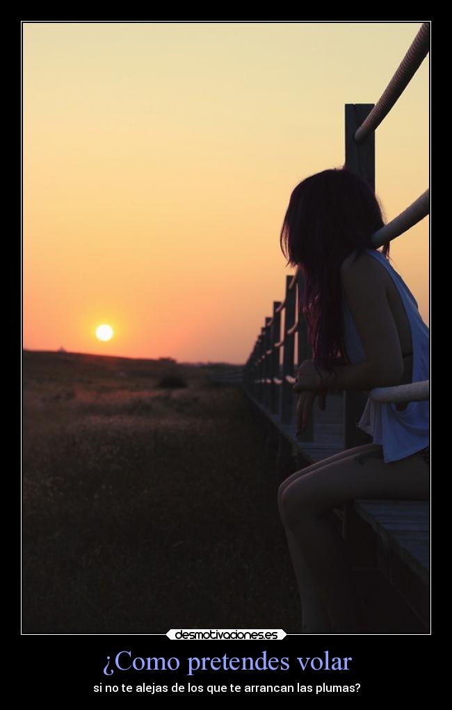 ¿Como pretendes volar - si no te alejas de los que te arrancan las plumas?
