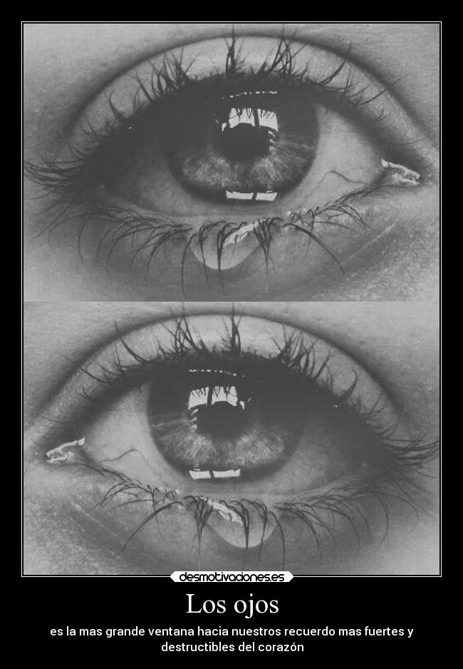 Los ojos - 