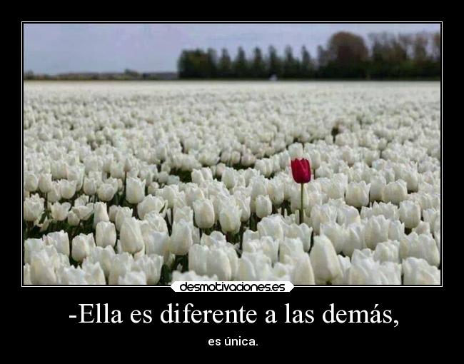 -Ella es diferente a las demás, - es única.