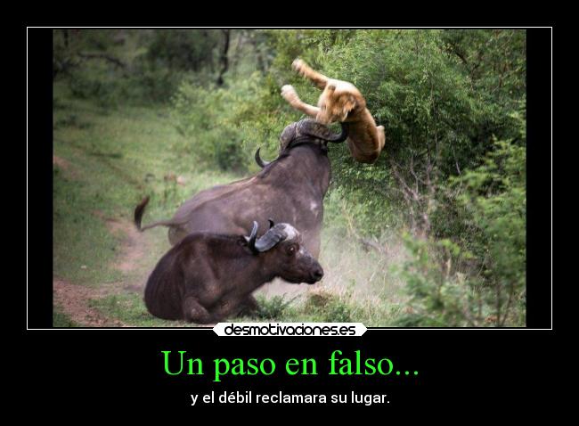 Un paso en falso... -