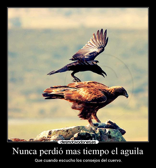 Nunca perdió mas tiempo el aguila -