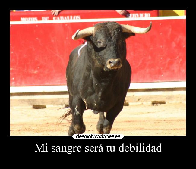 carteles debilidad dolor toros desmotivaciones