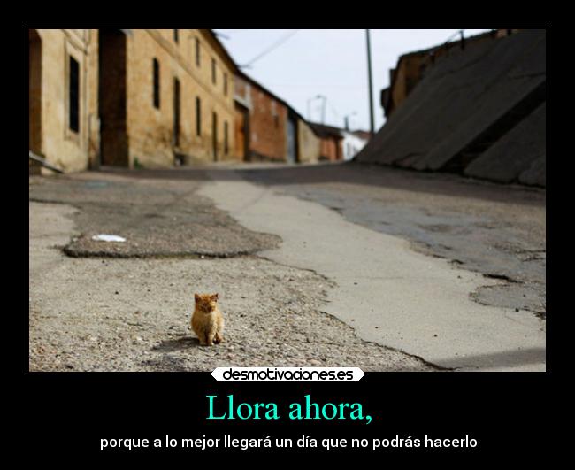 carteles debilidad llorar ahora dia nopoder desmotivaciones