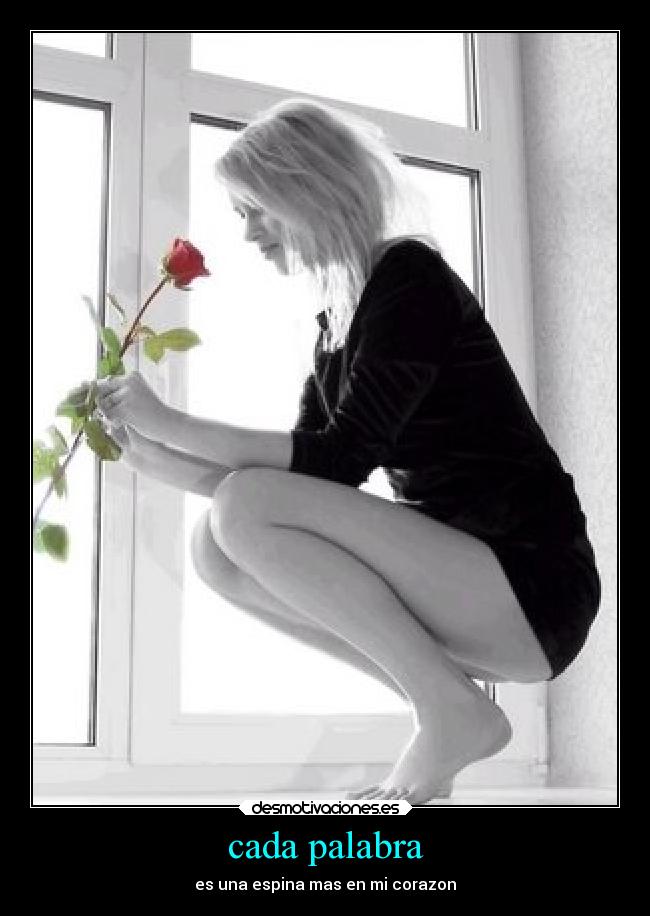 carteles desamor desmotivaciones