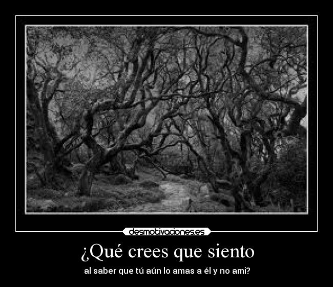 ¿Qué crees que siento - al saber que tú aún lo amas a él y no ami?