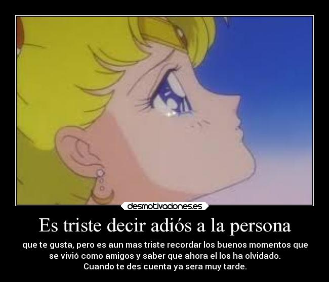 carteles desamor desmotivaciones