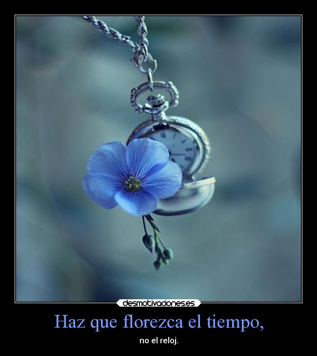 Haz que florezca el tiempo, -