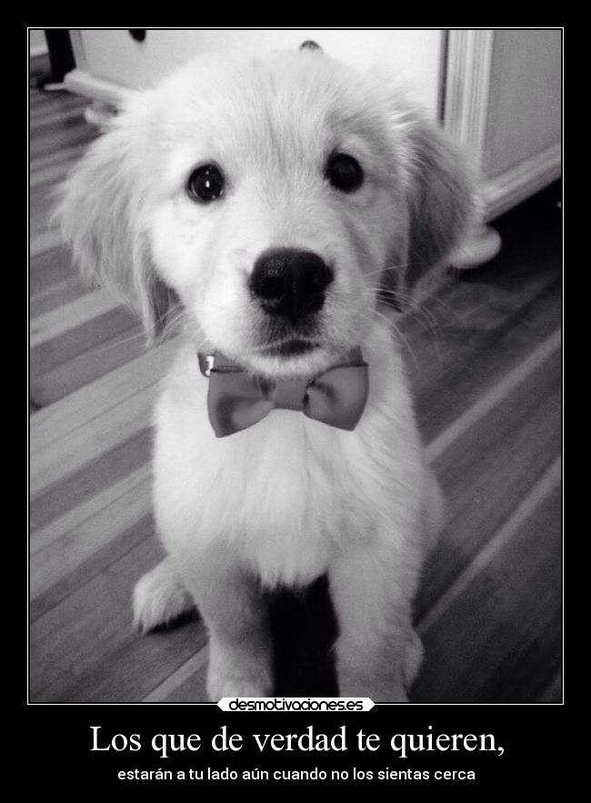 Los que de verdad te quieren, - estarán a tu lado aún cuando no los sientas cerca