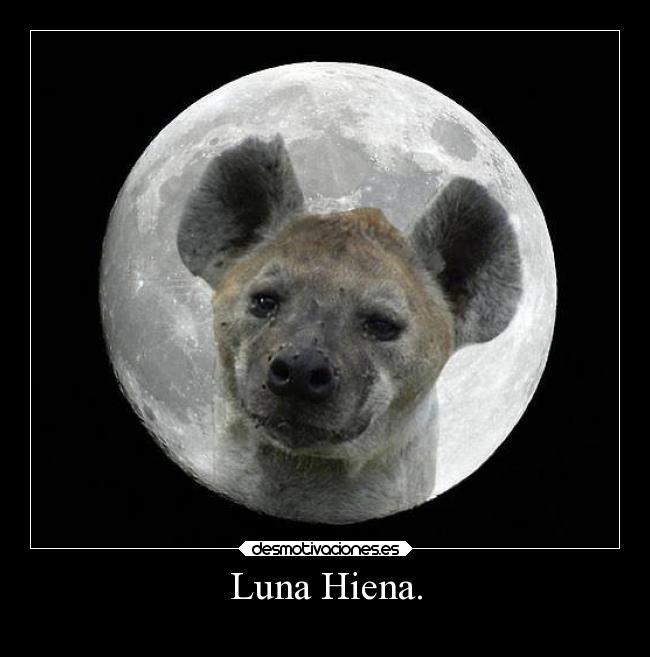 Luna Hiena. - 