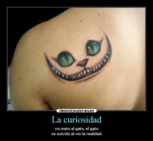 La curiosidad - no mato al gato, el gato
se suicido al ver la realidad.