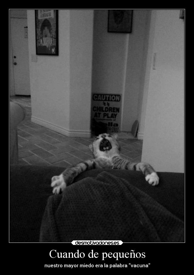 carteles desmotivaciones emma watson vacuna vaca aguja desmotivaciones