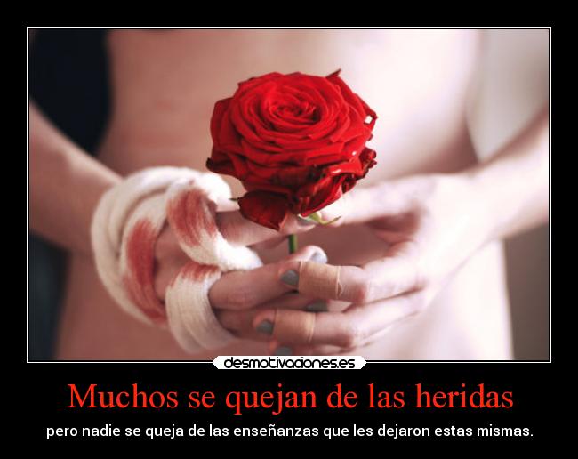 Muchos se quejan de las heridas - 