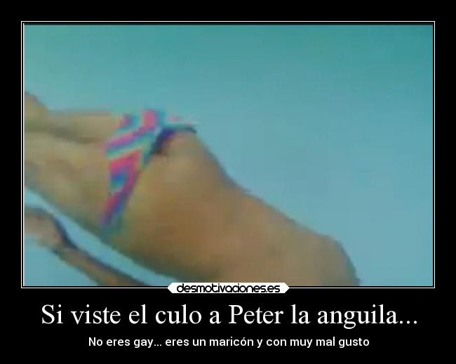 Si viste el culo a Peter la anguila... - No eres gay... eres un maricón y con muy mal gusto