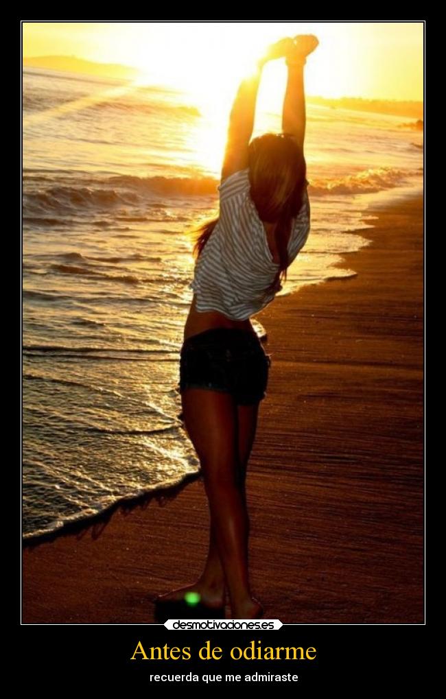 Antes de odiarme -