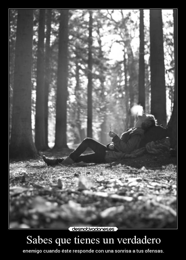 carteles desmotivaciones ofensas enemigos jesshellscythe desmotivaciones