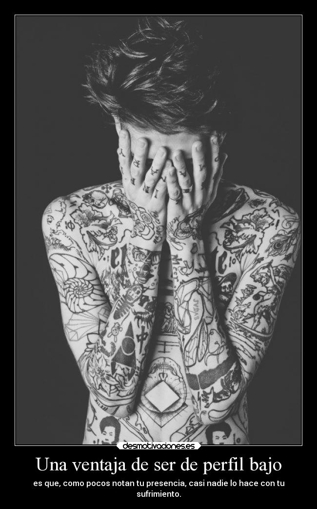 carteles desmotivaciones sentimientos soy perfil bajo desmotivaciones