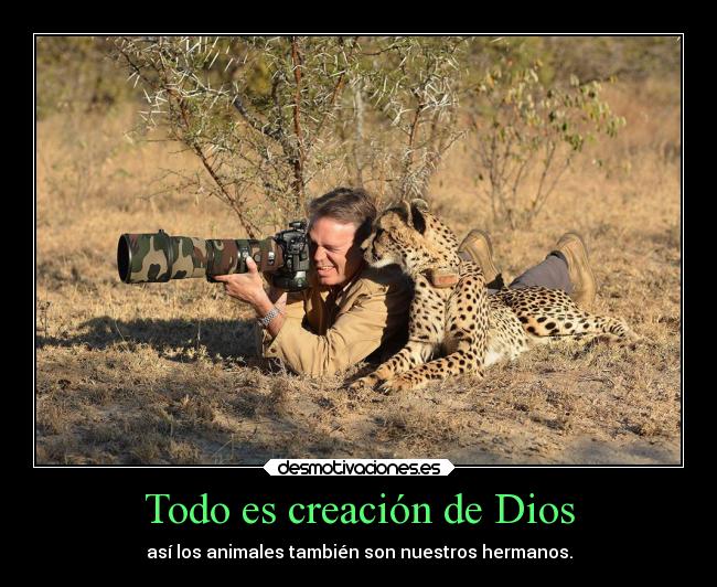 Todo es creación de Dios - así los animales también son nuestros hermanos.