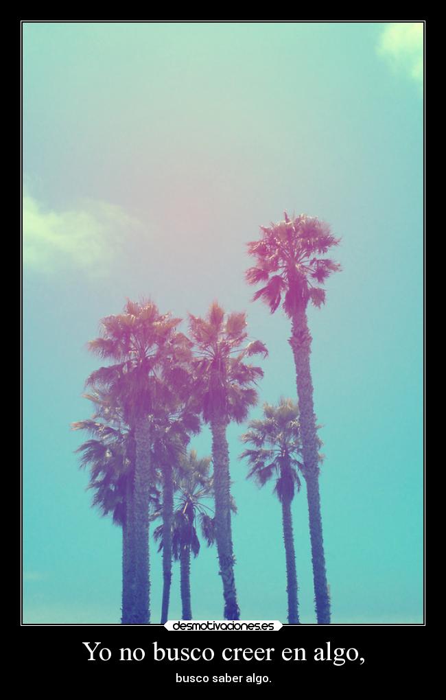 Yo no busco creer en algo, -