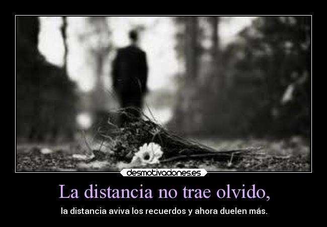 La distancia no trae olvido, - la distancia aviva los recuerdos y ahora duelen más.