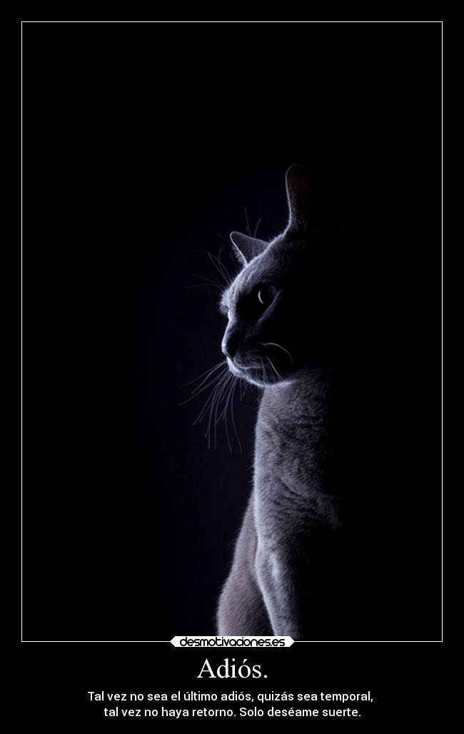 carteles dormir dolor ausencia amigos adios extranen desmotivaciones