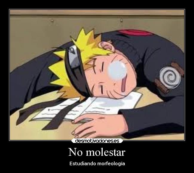 No molestar - Estudiando morfeología