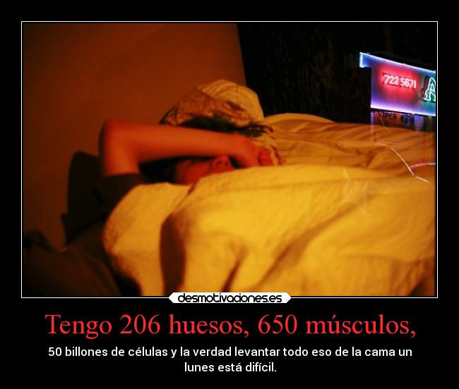 carteles dormir flojera desmotivaciones