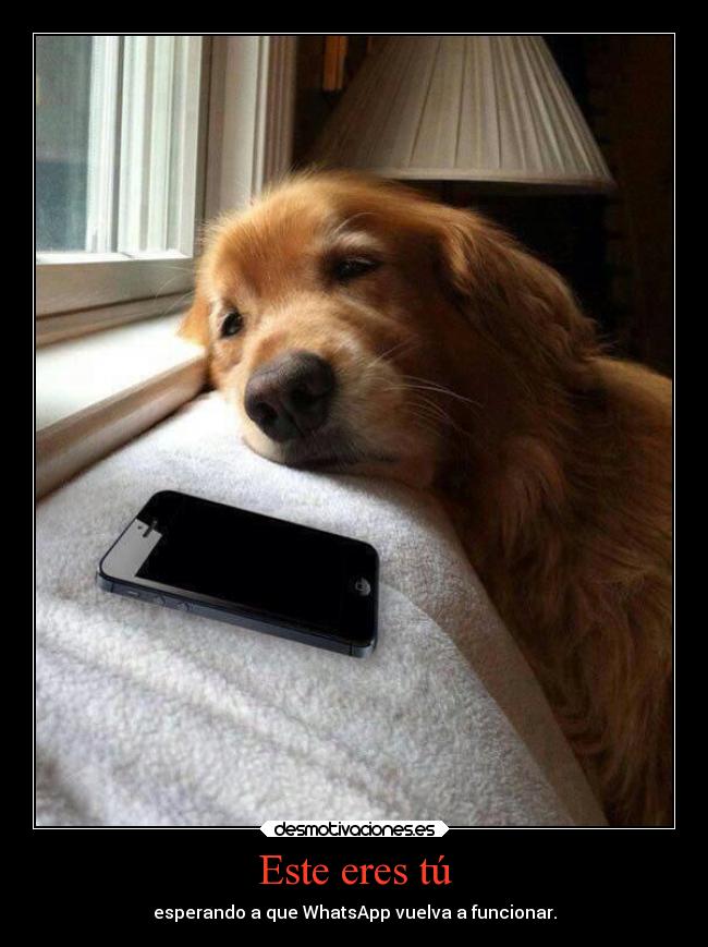 carteles enfados whatsapp desmotivaciones