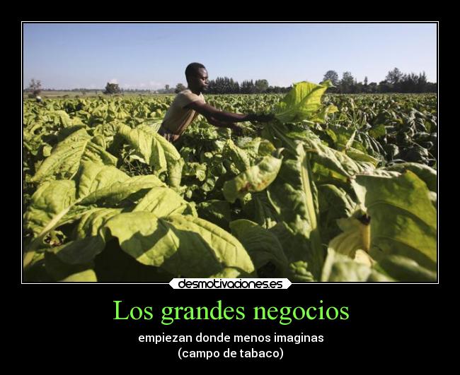 carteles escuela desmotivaciones