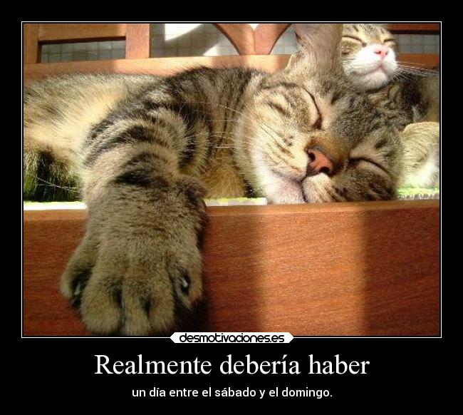 Realmente debería haber - un día entre el sábado y el domingo.