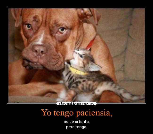 Yo tengo paciensia, - no se si tanta,
pero tengo.