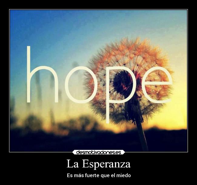 carteles esperanza dolor desmotivaciones los juegos del hambre desmotivaciones