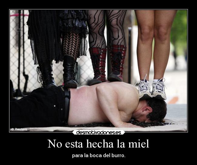 No esta hecha la miel - para la boca del burro.