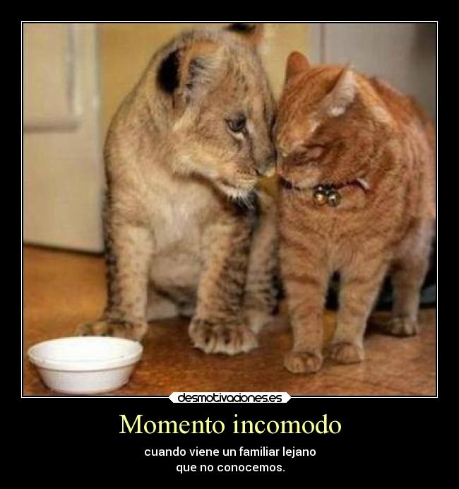 Momento incomodo -