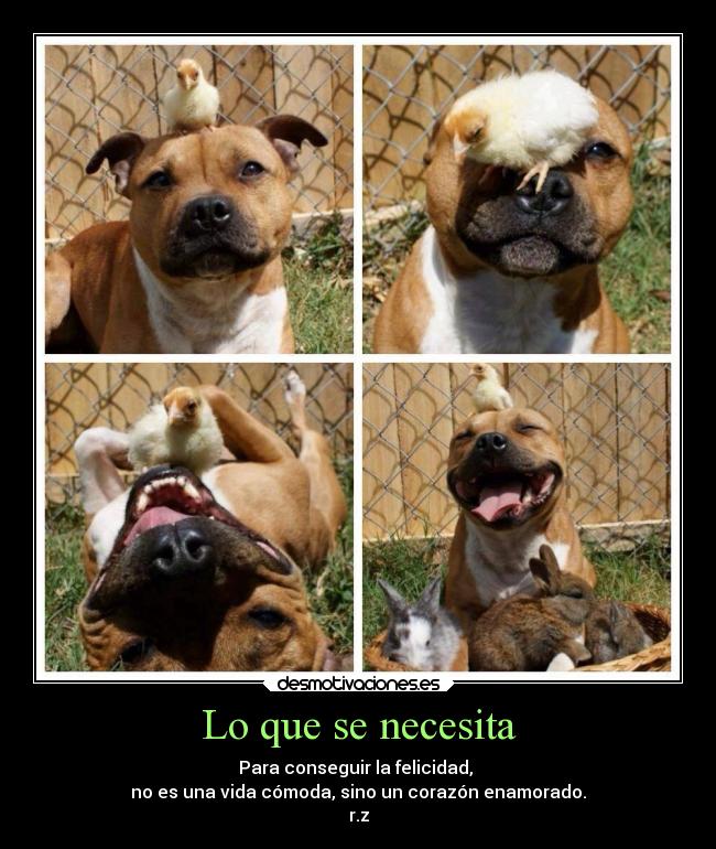 carteles felicidad desmotivaciones