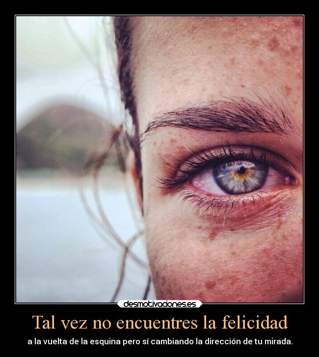 carteles felicidad felicidad desmotivaciones