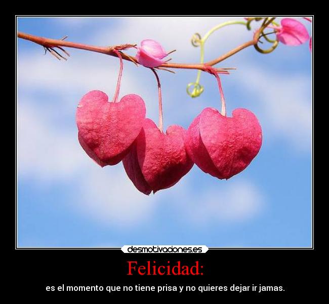 Felicidad: - es el momento que no tiene prisa y no quieres dejar ir jamas.