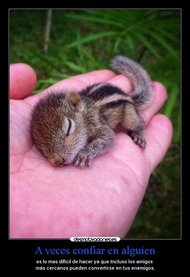 A veces confiar en alguien - es lo mas difícil de hacer ya que Incluso los amigos
más cercanos pueden convertirse en tus enemigos.