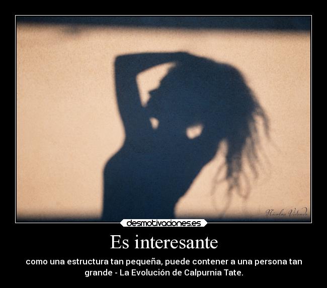 Es interesante - como una estructura tan pequeña, puede contener a una persona tan
grande - La Evolución de Calpurnia Tate.