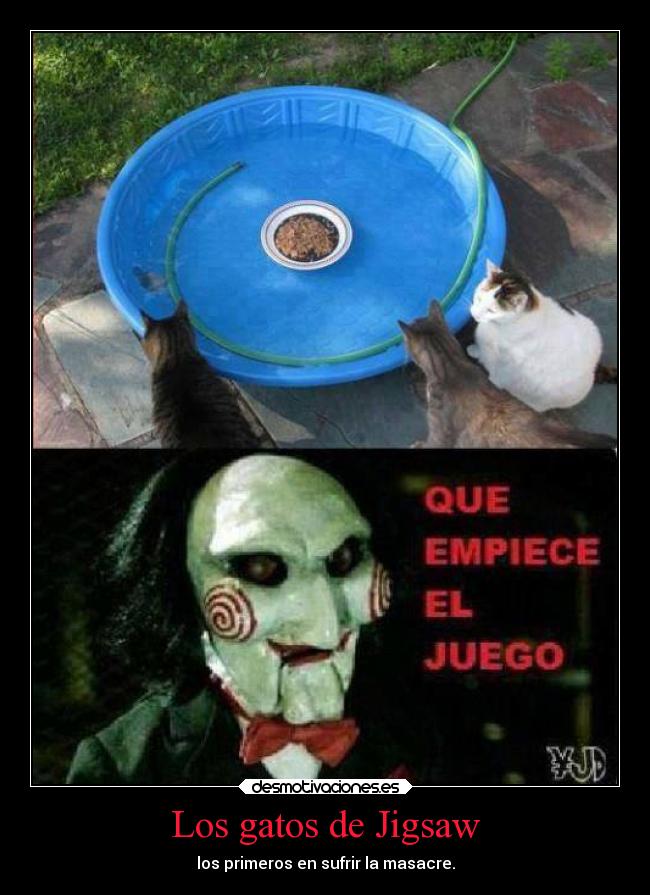 Los gatos de Jigsaw - los primeros en sufrir la masacre.