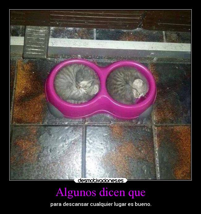 Algunos dicen que - para descansar cualquier lugar es bueno.