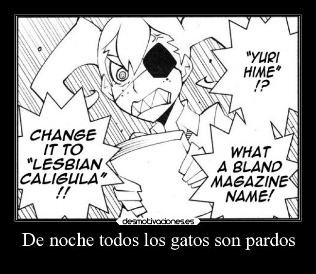 De noche todos los gatos son pardos - 