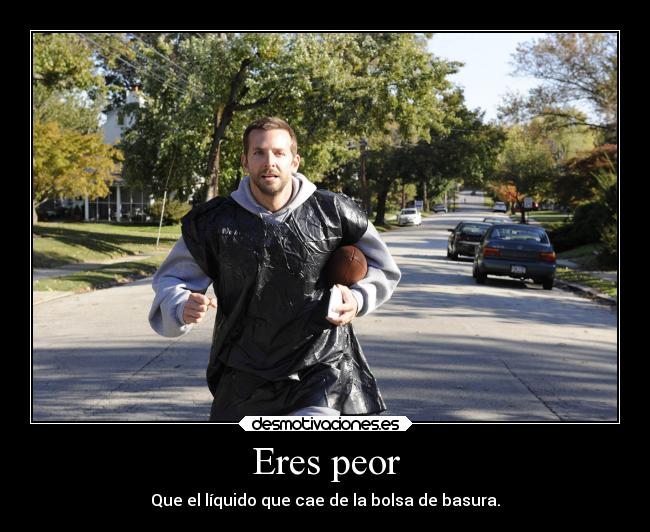 carteles gatos humor enemigo basura comedia correr reflexion cantar bailar desastre violar hipocresia falsa desmotivaciones