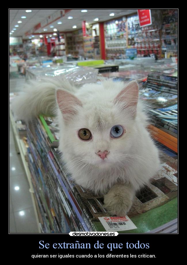 Se extrañan de que todos - quieran ser iguales cuando a los diferentes les critican.