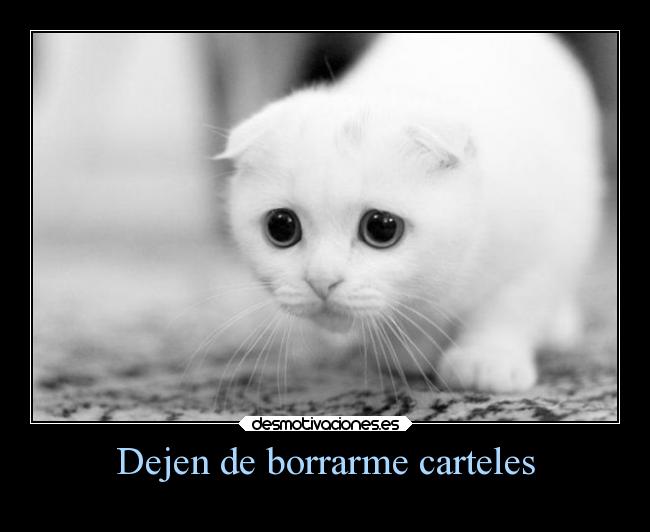 Dejen de borrarme carteles -