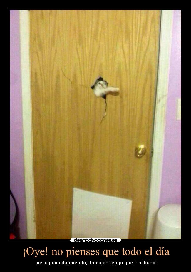 ¡Oye! no pienses que todo el día -
