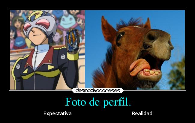 carteles humor animales anime foto perfil expectativa realidad desmotivaciones