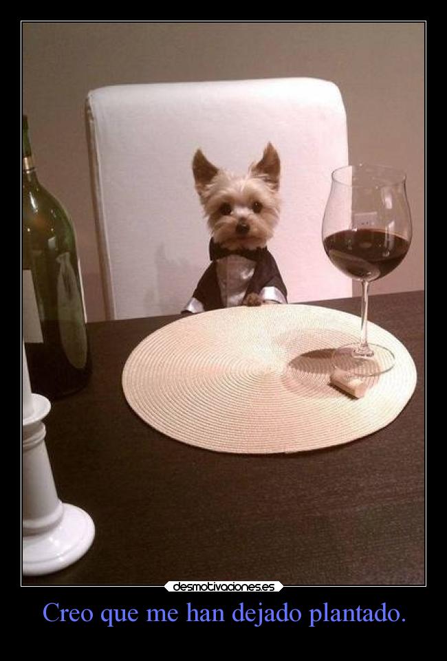 Creo que me han dejado plantado. -