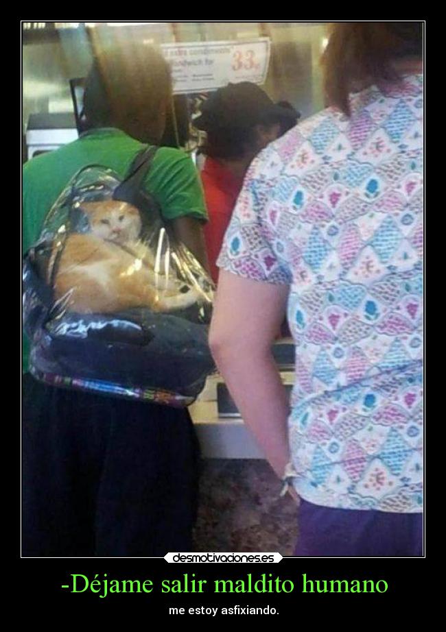 -Déjame salir maldito humano -