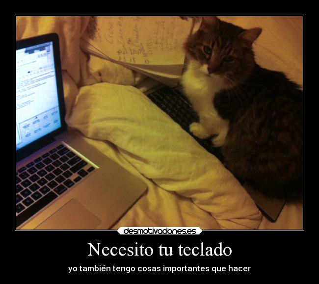 Necesito tu teclado - yo también tengo cosas importantes que hacer